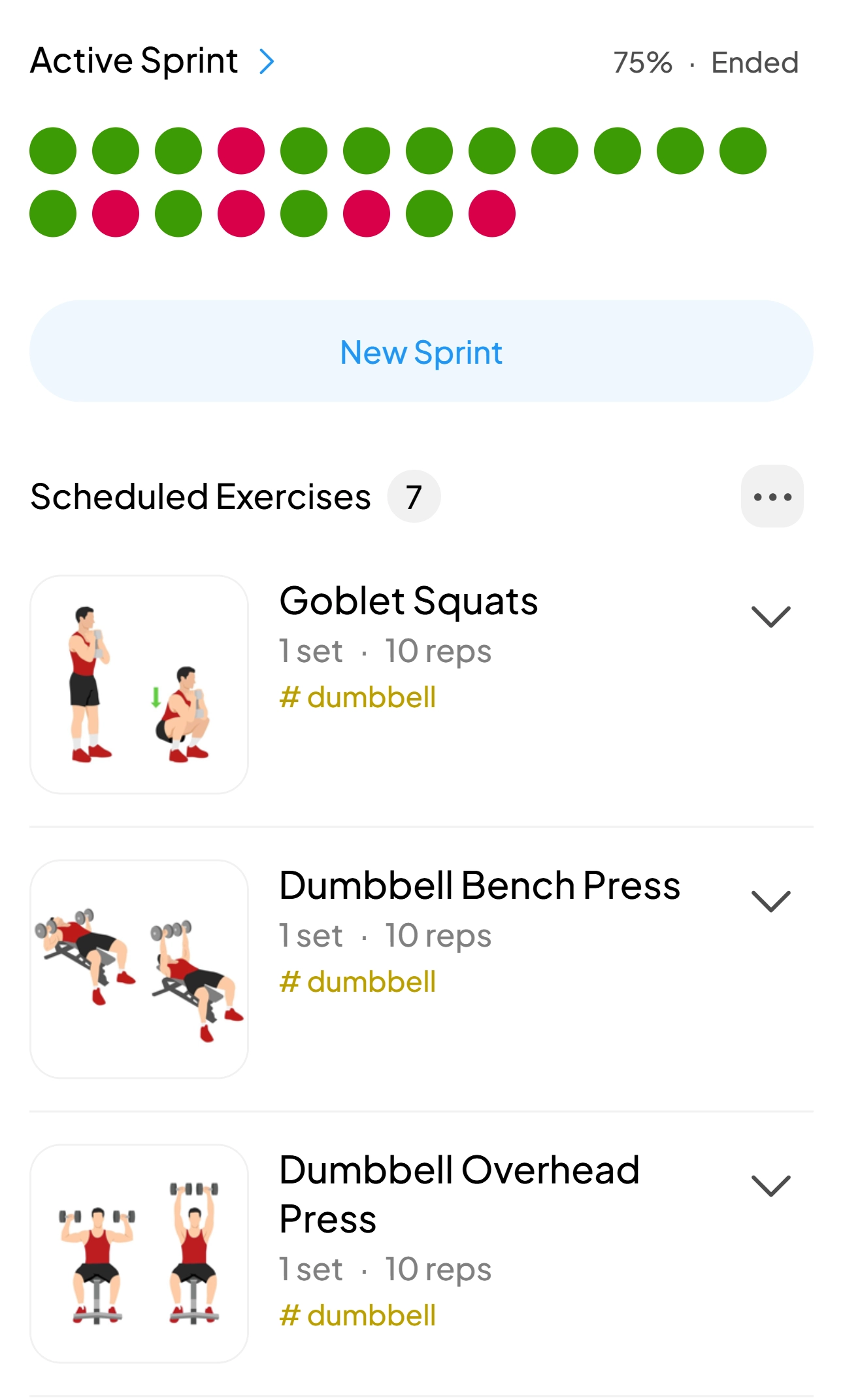 Custom workout plan created in LeadMe with exercise tracker and progress chart